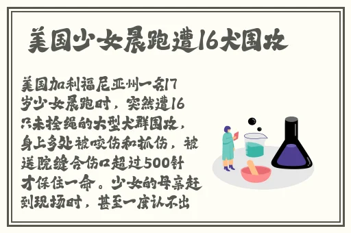 airflyer87柴犬